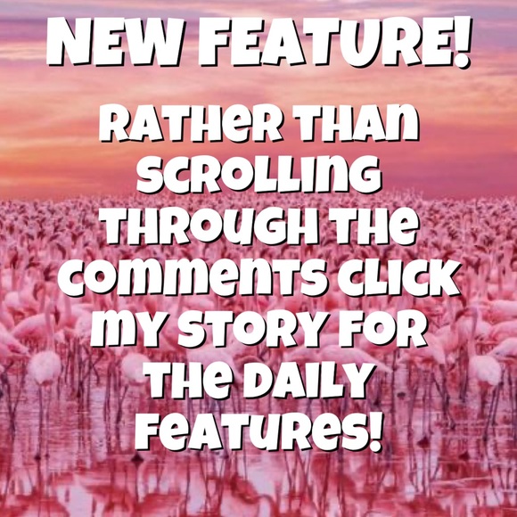 Listing Full! Please unlike & like NEW 🦩listing! - Picture 3 of 11